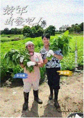 资讯配图 综艺时段样本示意